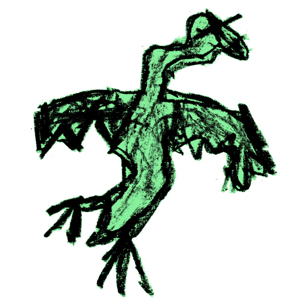 Stork